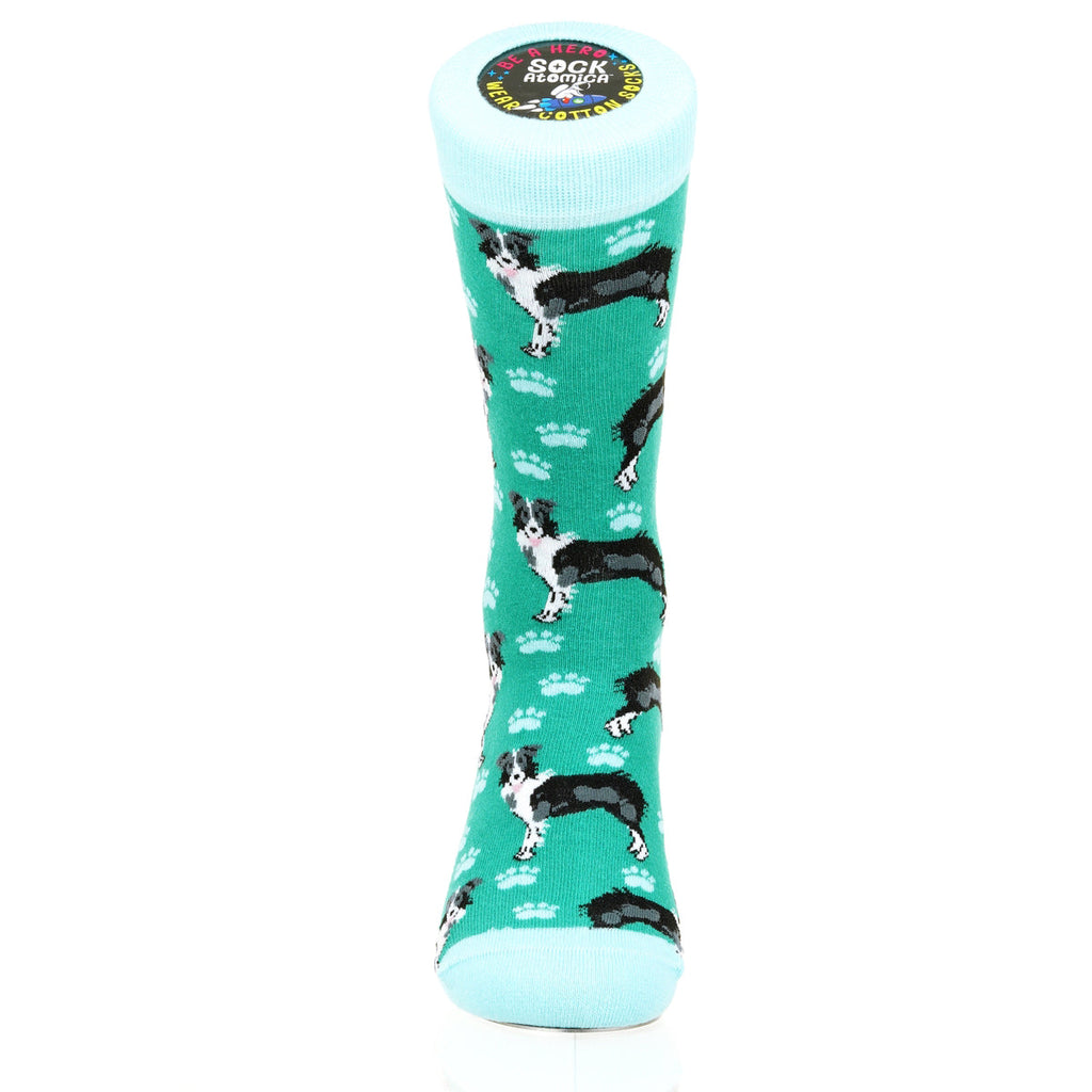 Border Collie | Plenty of Pups