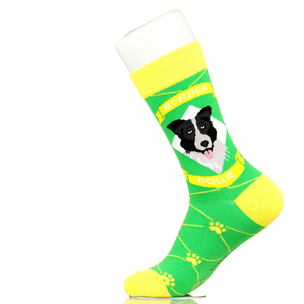 Border Collie | Argyle Pups