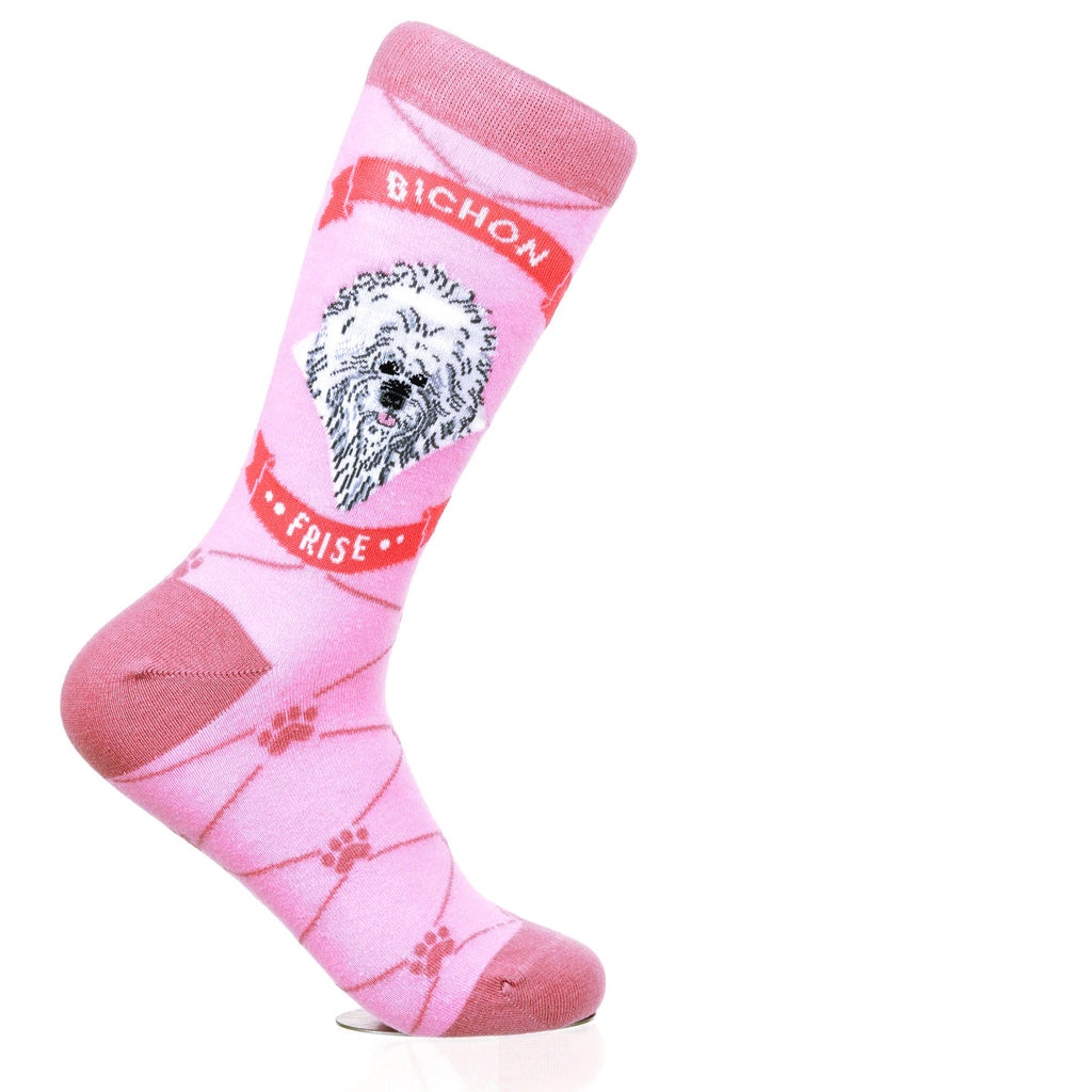 Bichon Frise | Argyle Pups