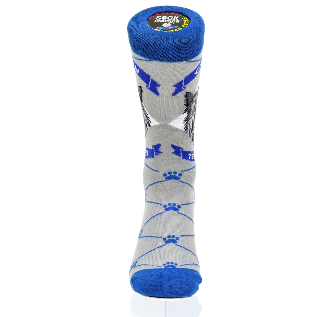 Cairn Terrier | Argyle Pups