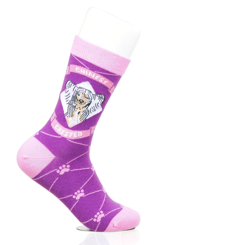 Chinese Crested | Argyle Pups