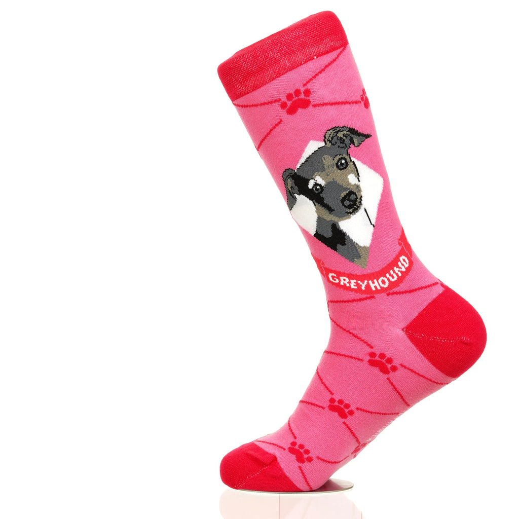 Greyhound | Argyle Pups