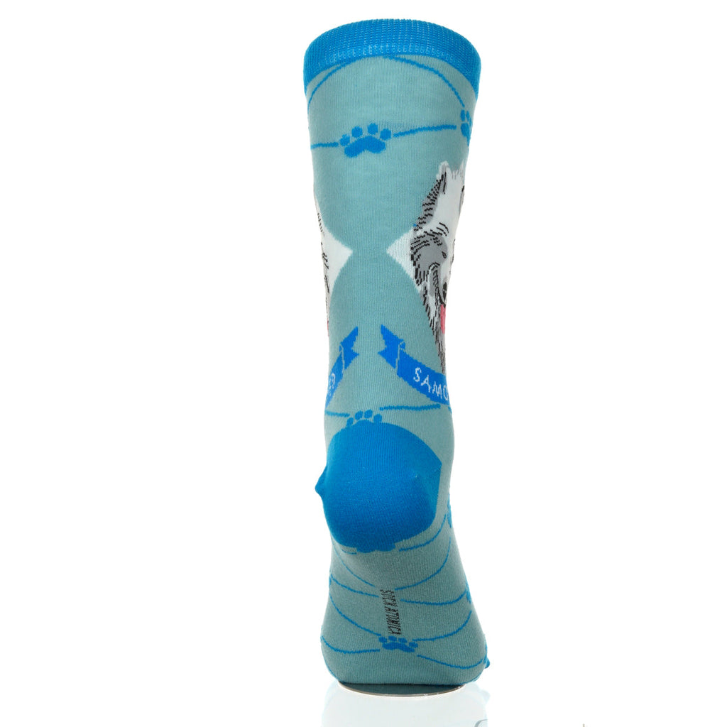 Samoyed | Argyle Pups