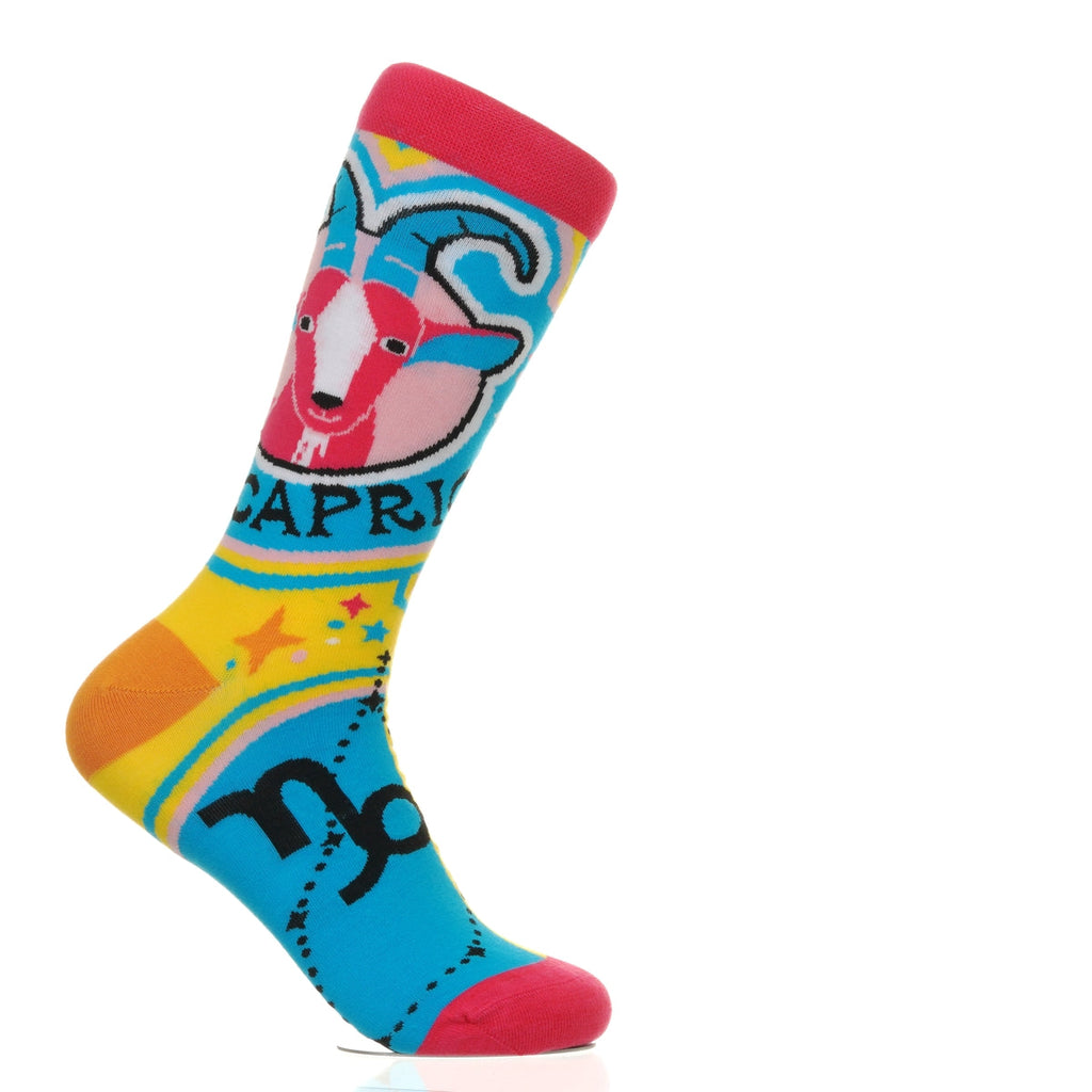 Zodiac Signs Capricorn