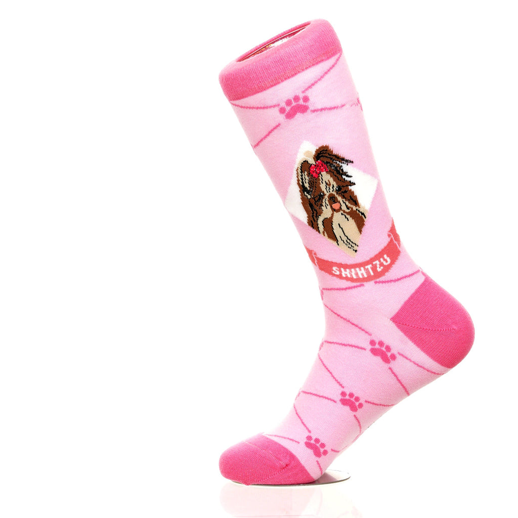 Shih Tzu | Argyle Pups