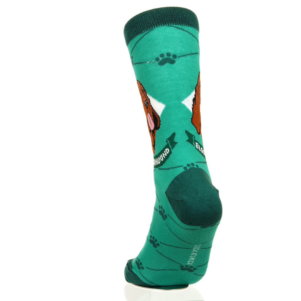 Bloodhound | Argyle Pups