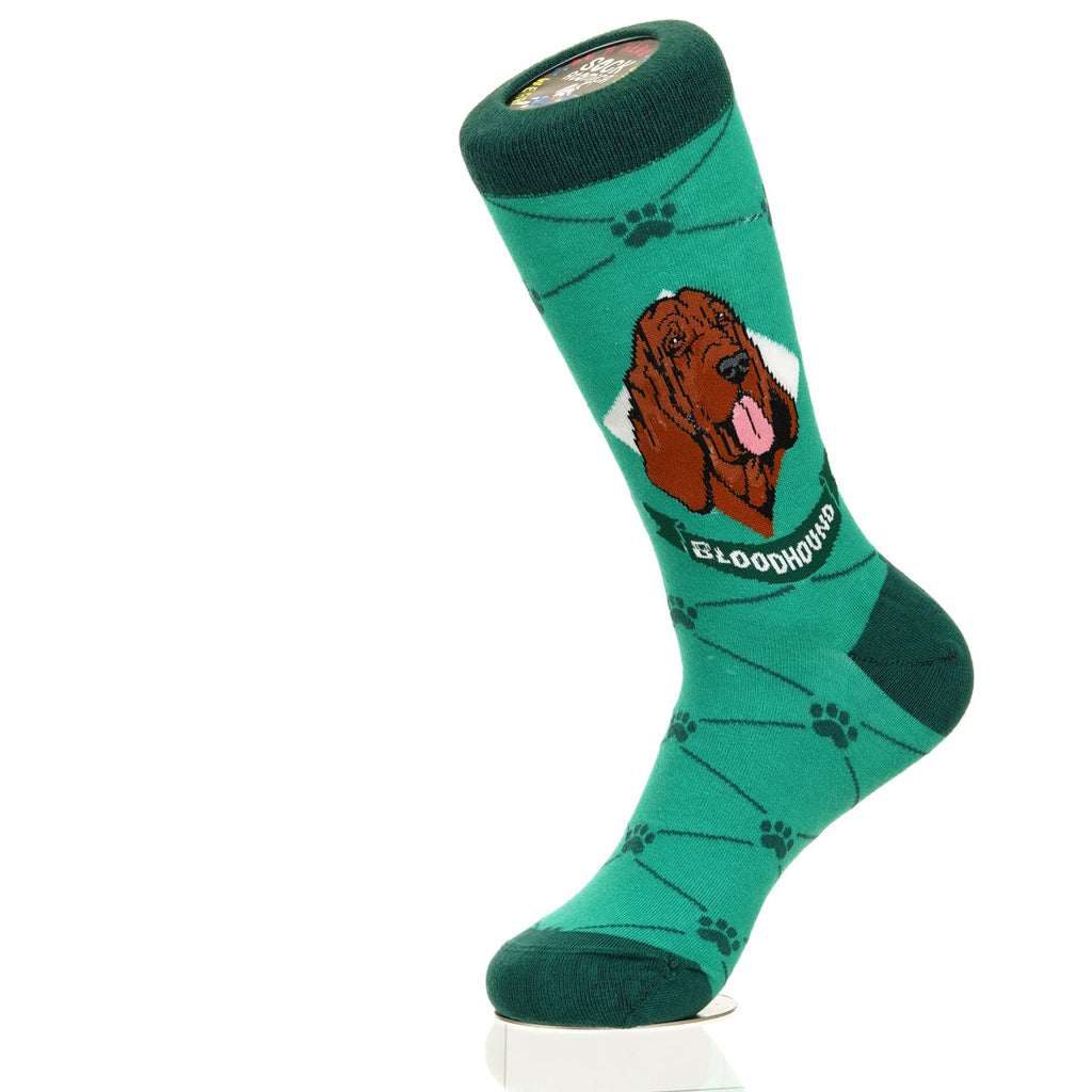 Bloodhound | Argyle Pups