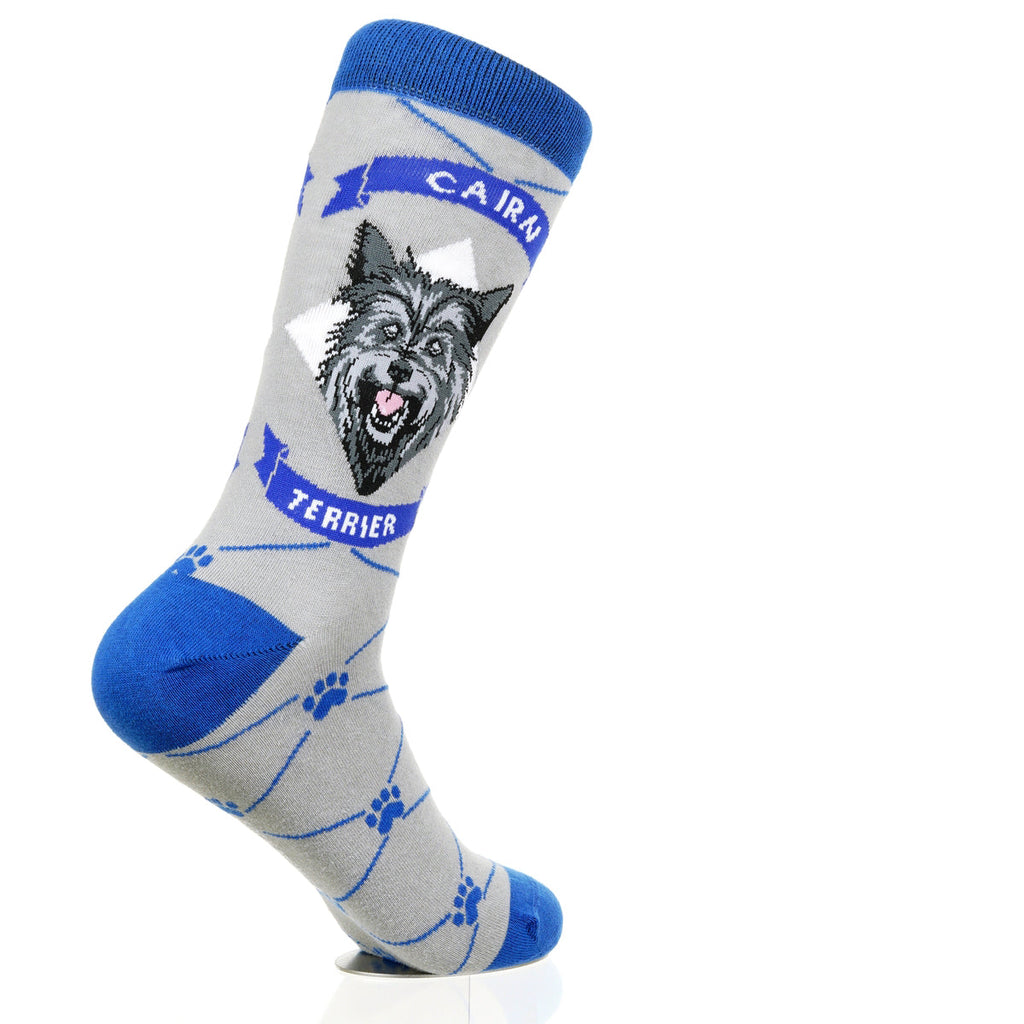 Cairn Terrier | Argyle Pups