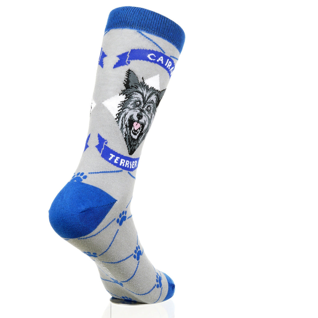 Cairn Terrier | Argyle Pups