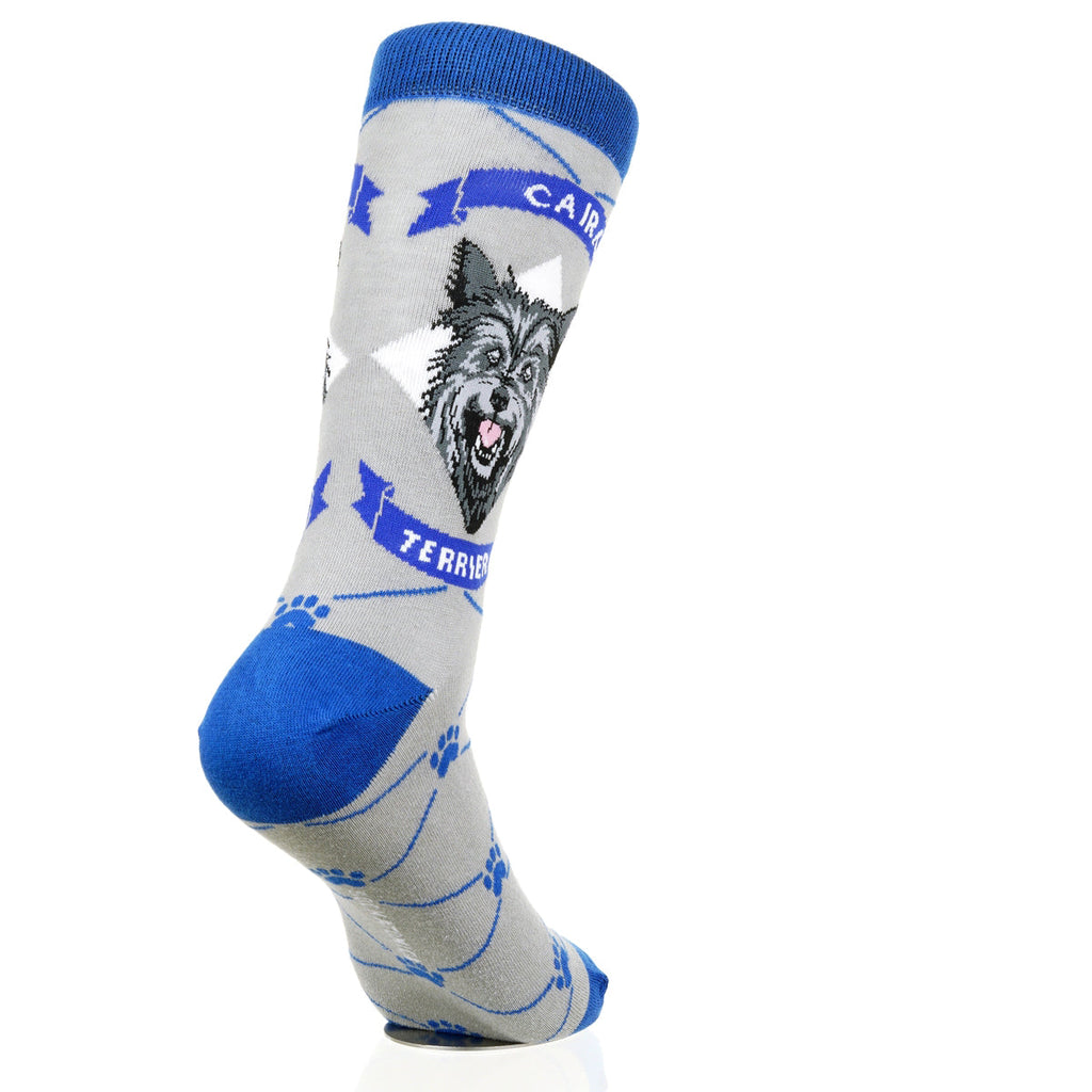 Cairn Terrier | Argyle Pups