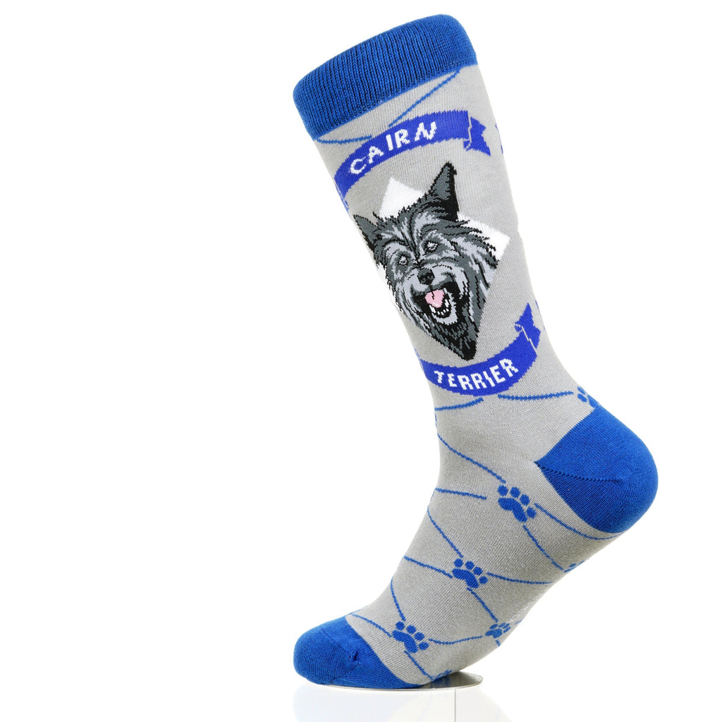Cairn Terrier | Argyle Pups
