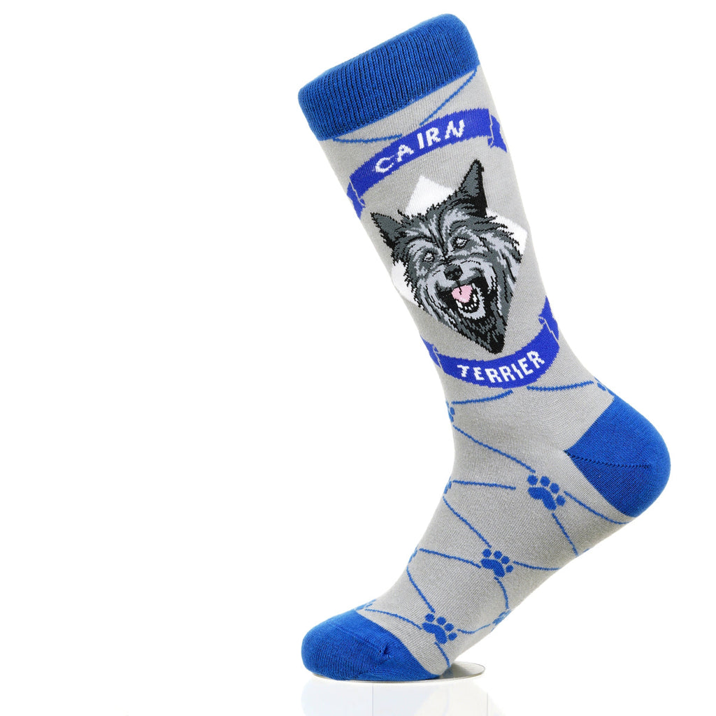 Cairn Terrier | Argyle Pups