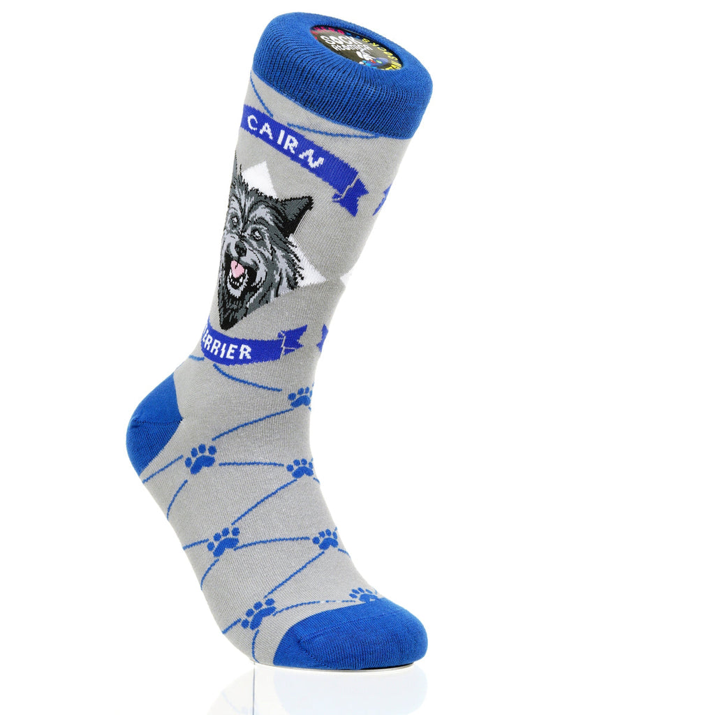 Cairn Terrier | Argyle Pups