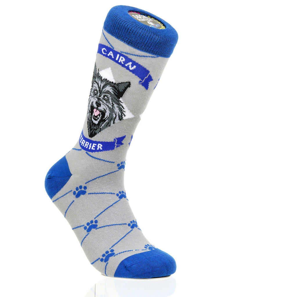 Cairn Terrier | Argyle Pups