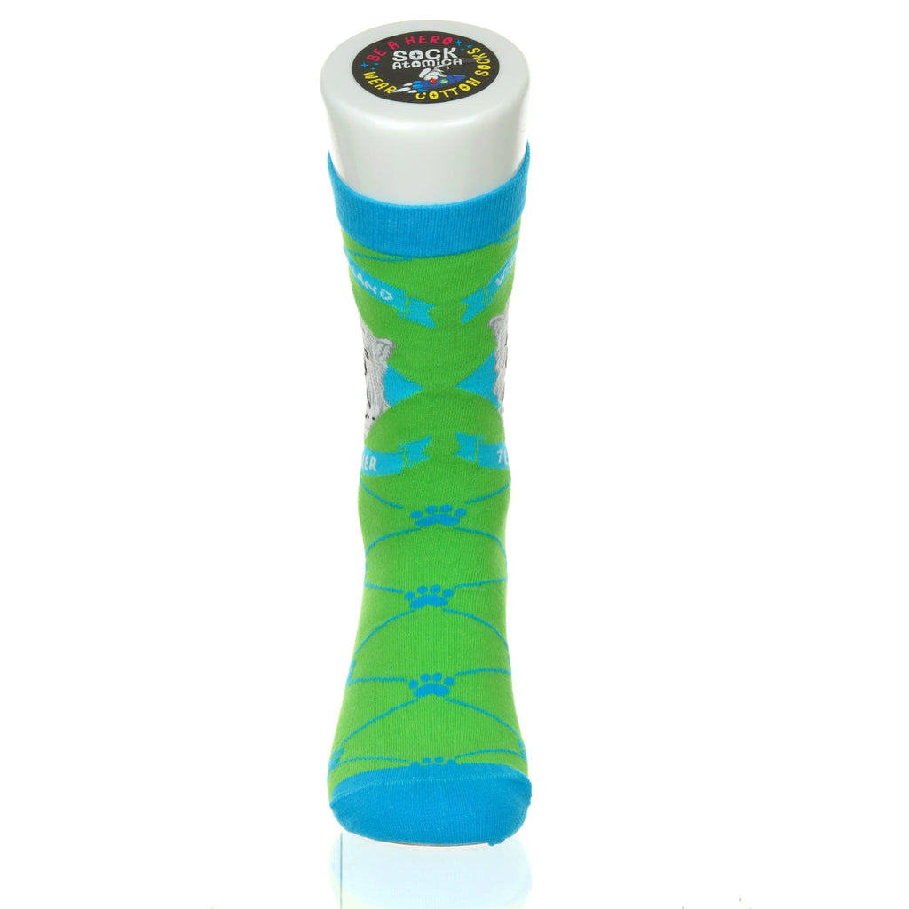 Westie / West Highland Terrier | Argyle Pups