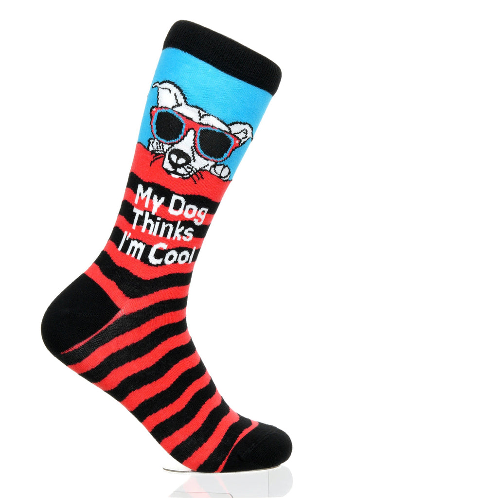 My Dog Thinks I'm Cool
